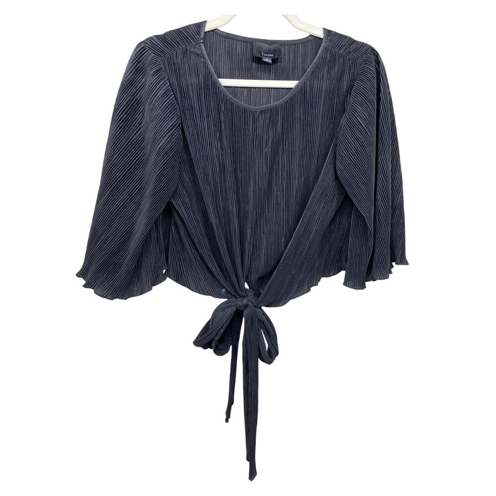 Lumiere Sheer Trumpet Sleeve Women's Medium Blouse Black Pleated Cropped Sexy